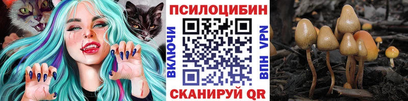 закладка Воркута Галлюциногенные грибы Magic Shrooms